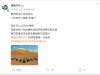 零跑晒旗下20辆车型“大合照”，全新个性战略新品即将亮相
