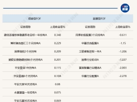 A股上周回调，股票型FOF回撤较大！业内建议逆势布局盈利改善方向 ...