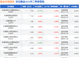 郭堃2025年二季度表现，长盛匠心研究混合A基金季度涨幅8.01%
