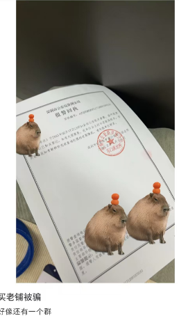 http://qianmaow.com/webfiles/data/images/bb/5e716ccbc6e6870d110d69db7a910b.png